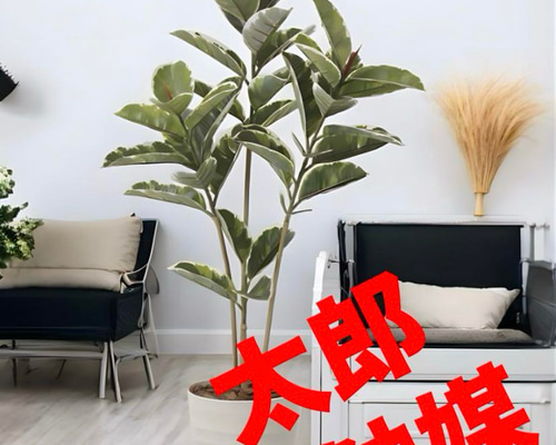 光触媒　人工観葉植物　ウォールグリーン　フェイクグリーン　アルテシマ150 光触媒 人工観葉植物 ウォールグリーン フェイクグリーン アルテシマ