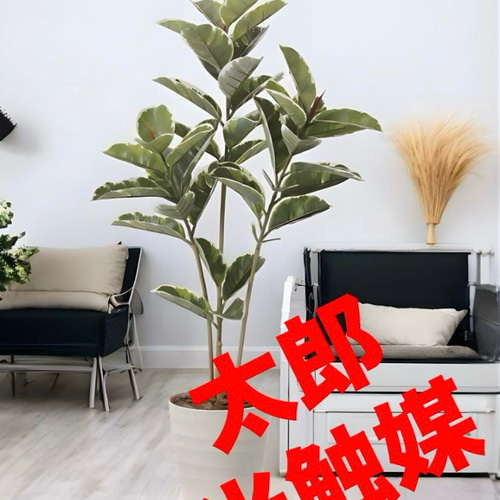 光触媒　人工観葉植物　ウォールグリーン　フェイクグリーン　アルテシマ1.2m 光触媒 人工観葉植物 ウォールグリーン フェイクグリーン