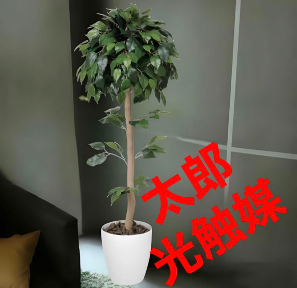 光触媒 人工観葉植物 フェイクグリーン　ベンジャミントピアリー1.2 光触媒 人工観葉植物 フェイクグリーン ベンジャミントピアリー1.2