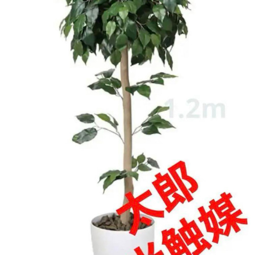 光触媒 人工観葉植物 フェイクグリーン　ベンジャミントピアリー1.2 光触媒 人工観葉植物 フェイクグリーン ベンジャミントピアリー1.2