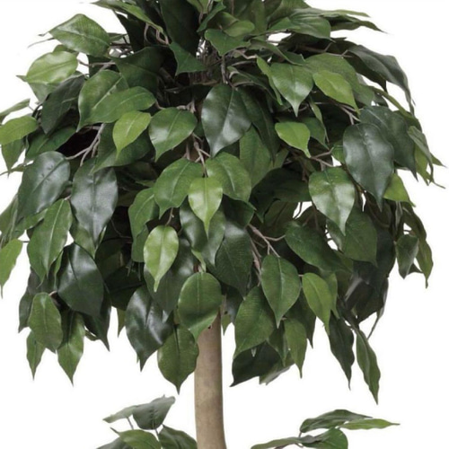 光触媒 人工観葉植物 フェイクグリーン　ベンジャミントピアリー1.2 光触媒 光の楽園ベンジャミントピアリー 1.2m【インテリア フェイク