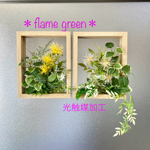 光触媒加工］☆flame green［Mナチュラルブラウン101］プミラ