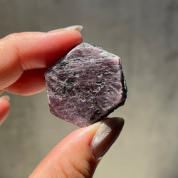 1fe9e3770366ffd3d2a04148b0a8ca