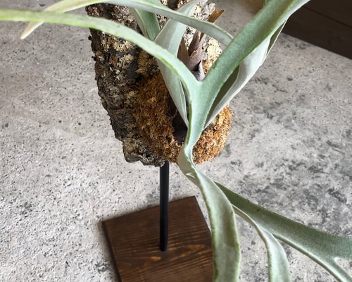 195712fc8e48d120438f879fd2600d