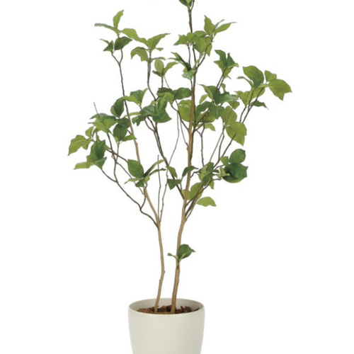 光触媒　人工観葉植物　ウォールグリーン　フェイクグリーン　サラサドウダン1.2 光触媒 人工観葉植物 ウォールグリーン フェイクグリーン サラサ