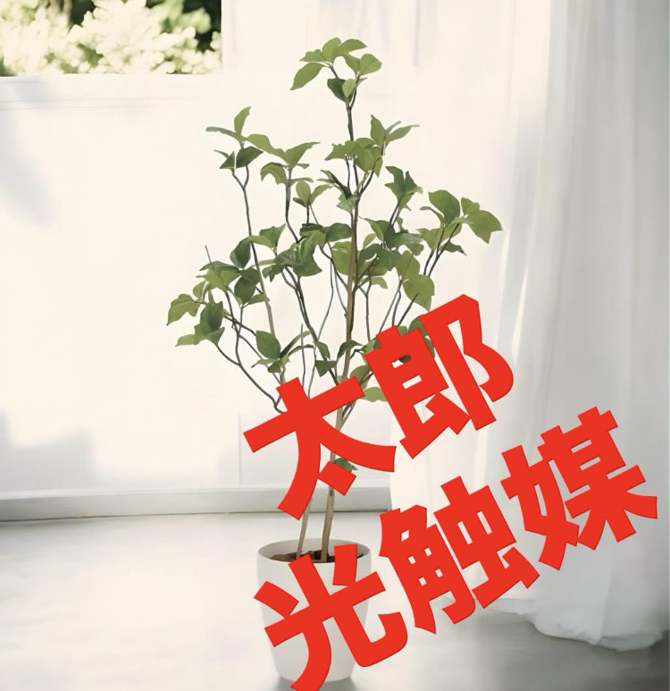 光触媒　人工観葉植物　ウォールグリーン　フェイクグリーン　サラサドウダン1.2