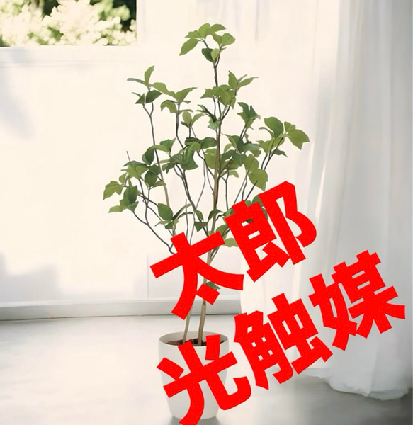 光触媒　人工観葉植物　ウォールグリーン　フェイクグリーン　サラサドウダン1.2 光触媒 人工観葉植物 ウォールグリーン フェイクグリーン サラサ