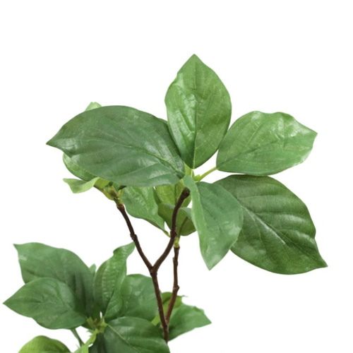 光触媒　人工観葉植物　ウォールグリーン　フェイクグリーン　サラサドウダン1.2 光触媒 人工観葉植物 ウォールグリーン フェイクグリーン サラサ