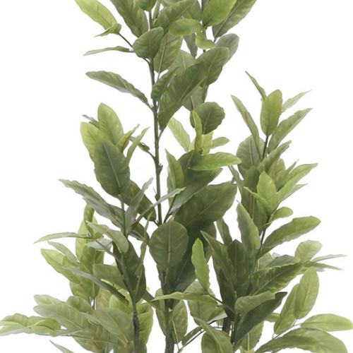 光触媒　人工観葉植物　ウォールグリーン　フェイクグリーン　レモン1.25m 光触媒人工観葉植物ウォールグリーンフェイクグリーンレモン1.25m