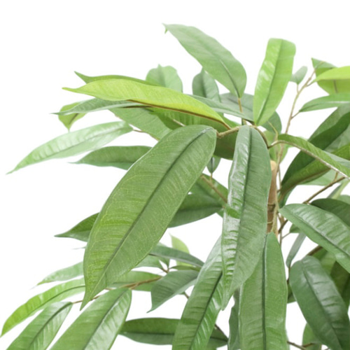 光触媒 人工観葉植物 フェイクグリーン アムステラバーキング 1.2m 
