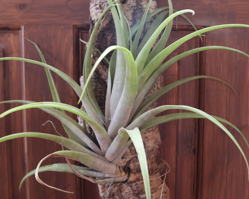 56b8c04273cbbcdcd4534d5fb306f1