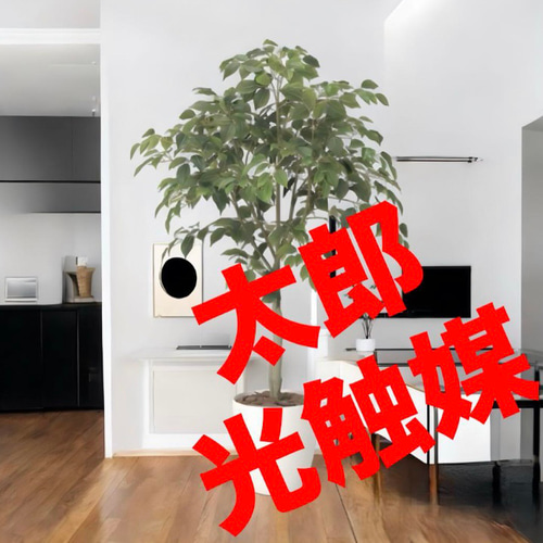 光触媒　人工観葉植物　ウォールグリーン　フェイクグリーン　パーチツリーg 光触媒 人工観葉植物 ウォールグリーン フェイクグリーン パーチ