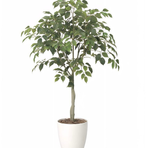光触媒　人工観葉植物　ウォールグリーン　フェイクグリーン　フィカスツリー1.8m 光触媒 人工観葉植物 ウォールグリーン フェイクグリーン