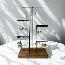 カラーオーダー2025 アクセサリー スタンド ピアス ネックレス ピアス