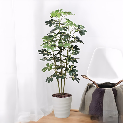 光触媒人工観葉植物ウォールグリーンフェイクグリーンカポック150