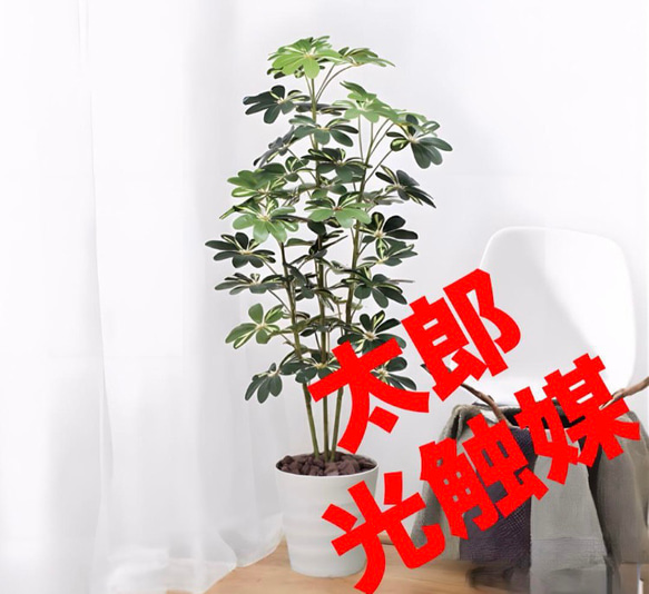 光触媒　人工観葉植物　ウォールグリーン　フェイクグリーン　ボダイジュ180 光触媒人工観葉植物ウォールグリーンフェイクグリーンボダイジュ180