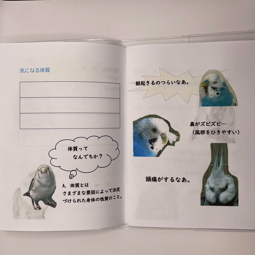 インコ盛りだくさん お薬手帳 A6サイズ - メルカリ