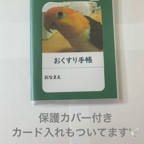 239000767000.jpg