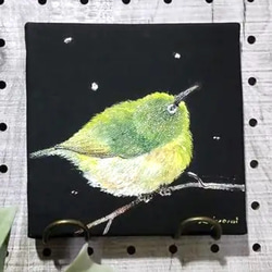 ハリネズミ　油彩画　原画 Amazon.co.jp: スプレーアートエデン 原画 ハリネズミ BK