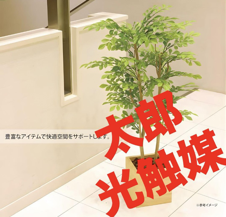 光触媒　人工観葉植物　フェイクグリーン　ウッドボックスライトトネリコ1.0m