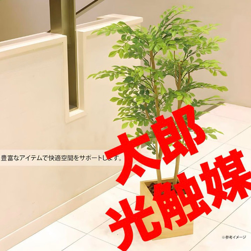光触媒人工観葉植物フェイクグリーンウッドボックスライトトネリコ1.0m