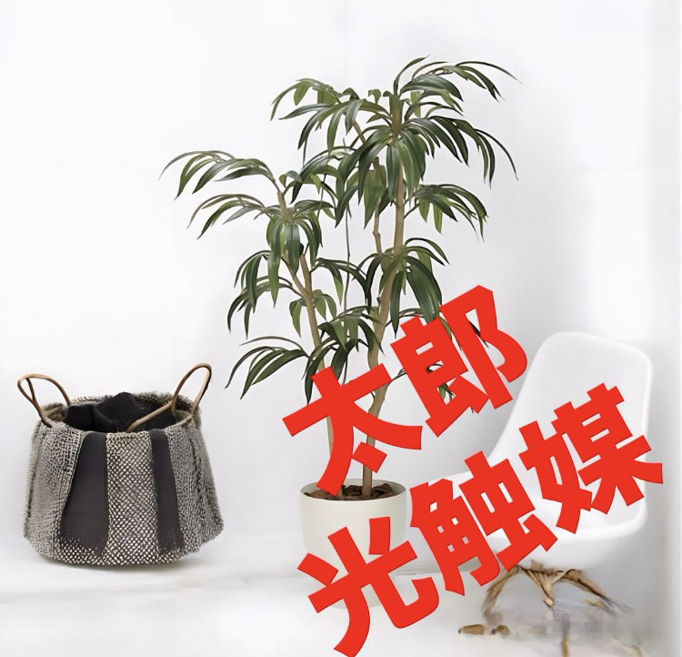 光触媒　人工観葉植物　ウォールグリーン　フェイクグリーン　ショウナンゴム1.3m