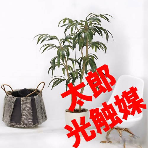 光触媒人工観葉植物ウォールグリーンフェイクグリーンショウナンゴム1.3