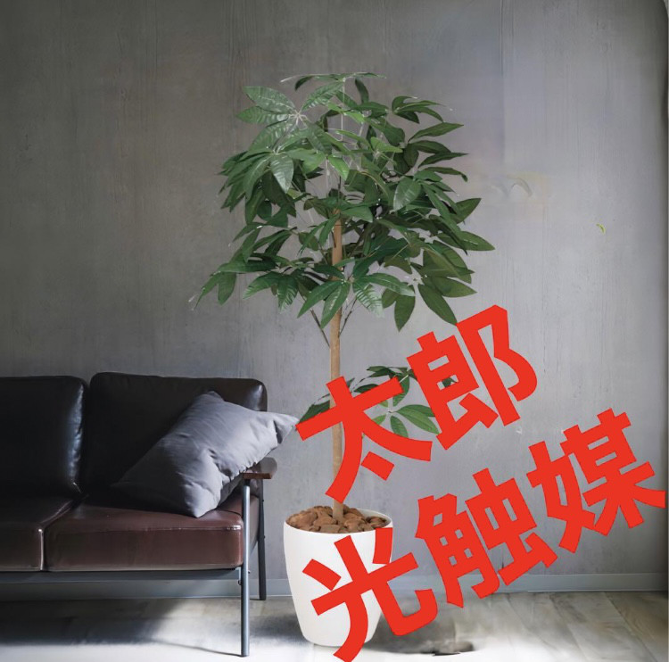 光触媒　人工観葉植物　フェイクグリーン　パキラトピアリー1.5m
