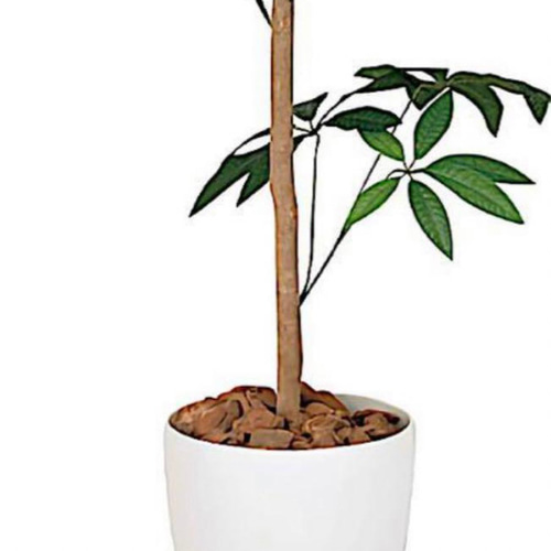 光触媒　人工観葉植物　フェイクグリーン　パキラトピアリー1.5m 光触媒 人工観葉植物 フェイクグリーン パキラトピアリー1.5m