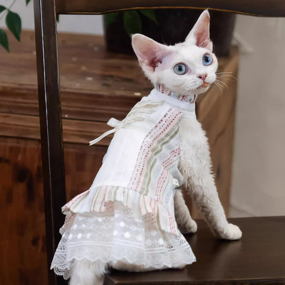 オーダーメイド可能〉猫服 犬服 ペット服 ネコ バレエ風