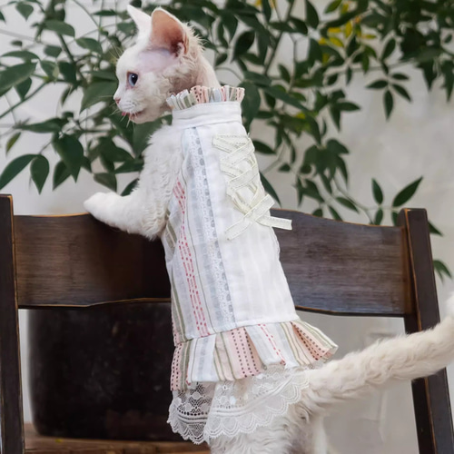 オーダーメイド可能〉猫服 犬服 ペット服 ネコ バレエ風