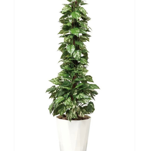 光触媒　人工観葉植物　ウォールグリーン　フェイクグリーン　ライムポトスヘゴ 90 光触媒人工観葉植物ウォールグリーンフェイクグリーンポトス高さ1.5m