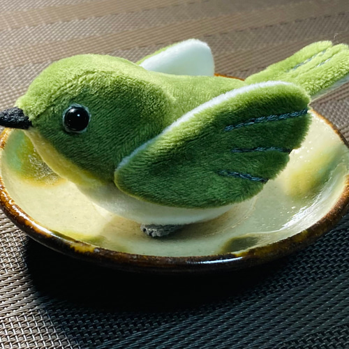 メジロ ぬいぐるみ ikuko 通販 18058177｜Creema(クリーマ