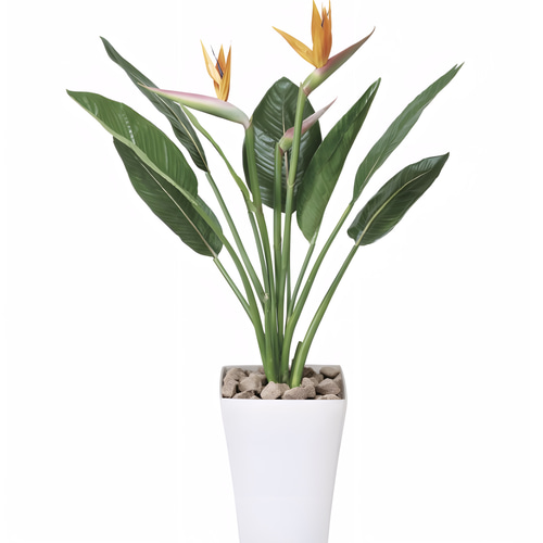 光触媒人工観葉植物ウォールグリーンフェイクグリーンストレチア極楽鳥