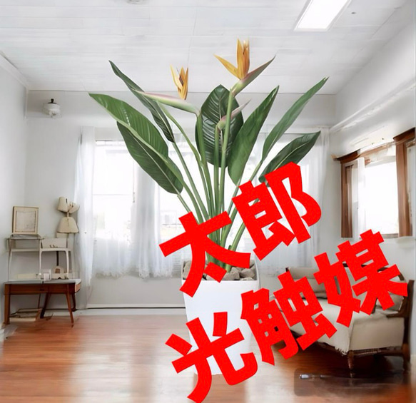 光触媒 人工観葉植物 ウォールグリーン フェイクグリーン