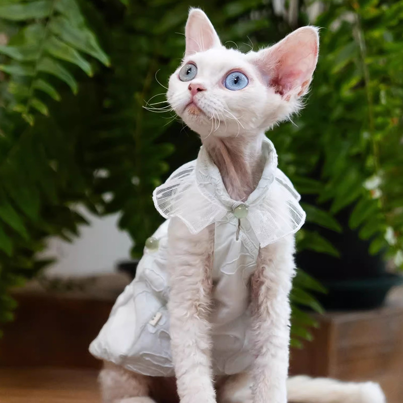 紫色 花柄 ドレス XSサイズ ペット用品 犬・猫服 ホワイト ワンピース