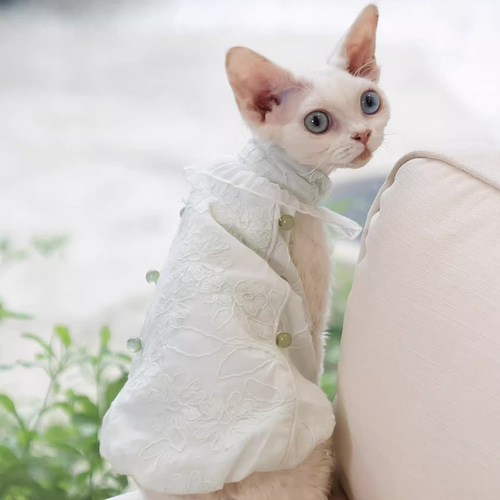 オーダーメイド可能〉猫服 犬服 ペット服 ネコ 飾り付き花刺繡 オーダーメイド可能〉猫服 犬服 ペット服 ネコ 飾り付き花刺繡