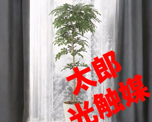 光触媒 人工観葉植物 ウォールグリーン フェイクグリーン トネリコ1.3