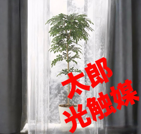 光触媒　人工観葉植物　ウォールグリーン　フェイクグリーン　トネリコ1.3 光触媒 人工観葉植物 ウォールグリーン フェイクグリーン トネリコ1.3