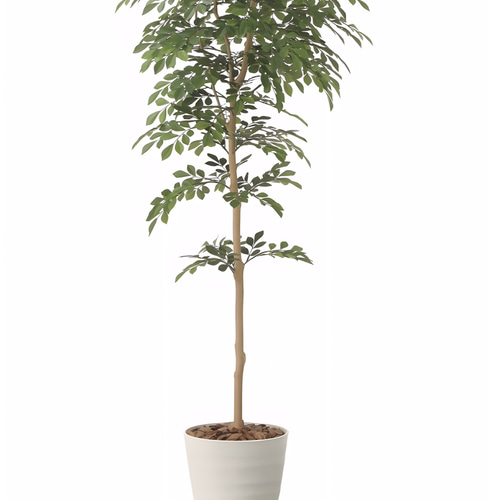 光触媒　人工観葉植物　ウォールグリーン　フェイクグリーン　トネリコ1.3 光触媒 人工観葉植物 ウォールグリーン フェイクグリーン トネリコ1.3