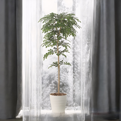 光触媒 人工観葉植物 ウォールグリーン フェイクグリーン トネリコ1.3