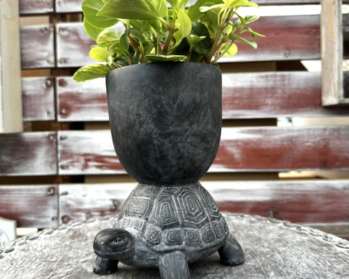 クロカメポットS プランター 植木鉢 多肉植物 観葉植物 かめ 亀