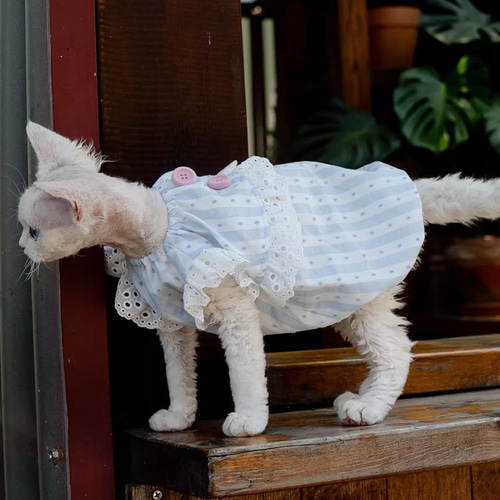 オーダーメイド可能〉猫服 犬服 ペット服 ネコ 青縦縞柄レース