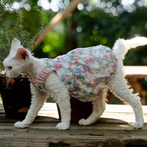 オーダーメイド可能〉猫服 犬服 ペット服 ネコ きれいな花柄プリンセスワンピース スフィンクス猫 姫スカート ドレス ペット服・アクセサリー  Kashima 通販｜Creema(クリーマ) 18059095