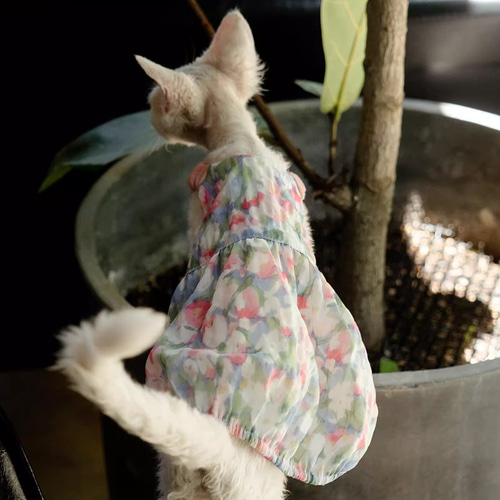 オーダーメイド可能〉猫服 犬服 ペット服 ネコ きれいな花柄プリンセスワンピース スフィンクス猫 姫スカート ドレス ペット服・アクセサリー  Kashima 通販｜Creema(クリーマ) 18059095