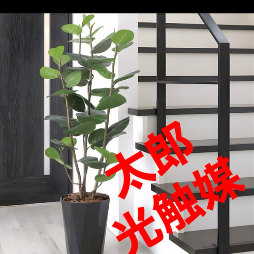光の楽園 光触媒 人工観葉植物 ウォールグリーン フェイク 光の楽園 光触媒 人工観葉植物 ウォールグリーン フェイク
