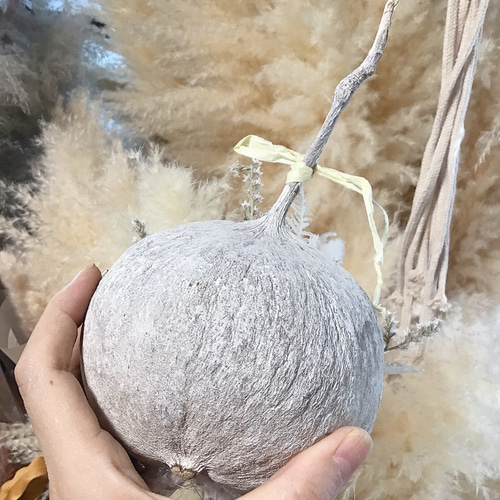 猫コロンとブッタナッツ♡ねこちゃんの鉢カバーにお供えブッタ