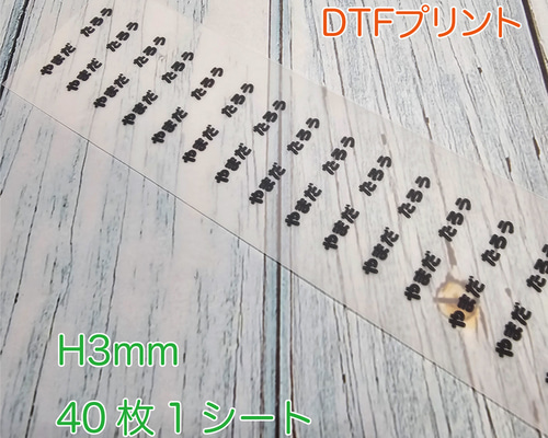 M.I 　アイロンプリントシール EPSOM アイロンプリントペーパー A4サイズ 5枚入り MJTRSP1R