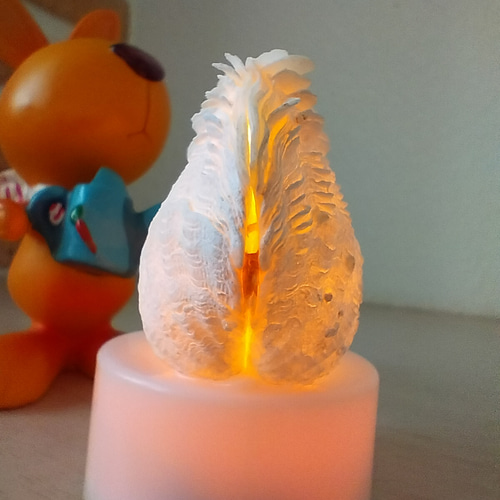 シャコ貝のルームランプ 宮古島産 ミニミニサイズ シャコ貝ランプ LEDライト内臓の台座