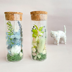 再販】フレッシュミモザのハーフリース ミモザリース ミモザ